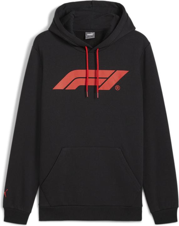 Actual product image Puma F1 ESS Logo Hoodie FL (L)