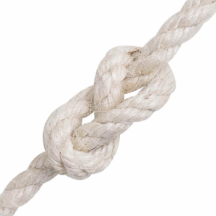 Image du produit vidaXL Natürliches Seil (100 m)
