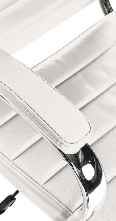 Actual product image CLP Mollis