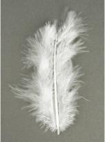 Immagine prodotto Rayher Piuma decorativa, bianca, 10 pezzi