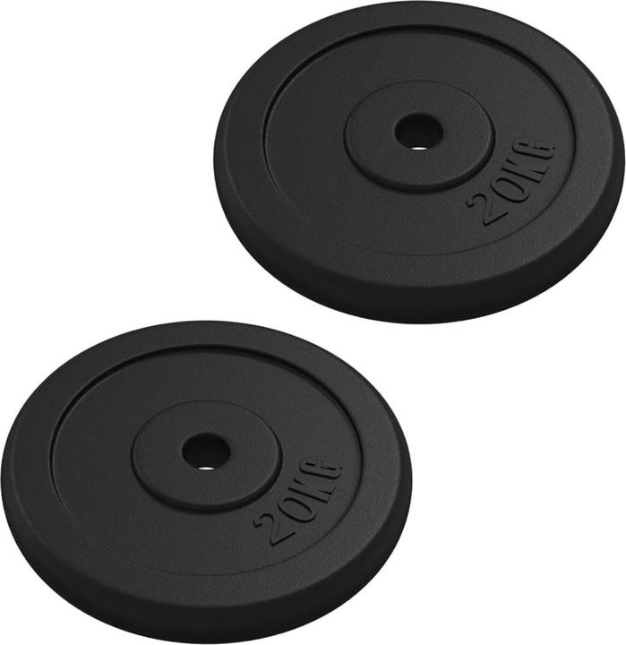 Immagine prodotto vidaXL Hantelscheibe (2 x 20 kg)