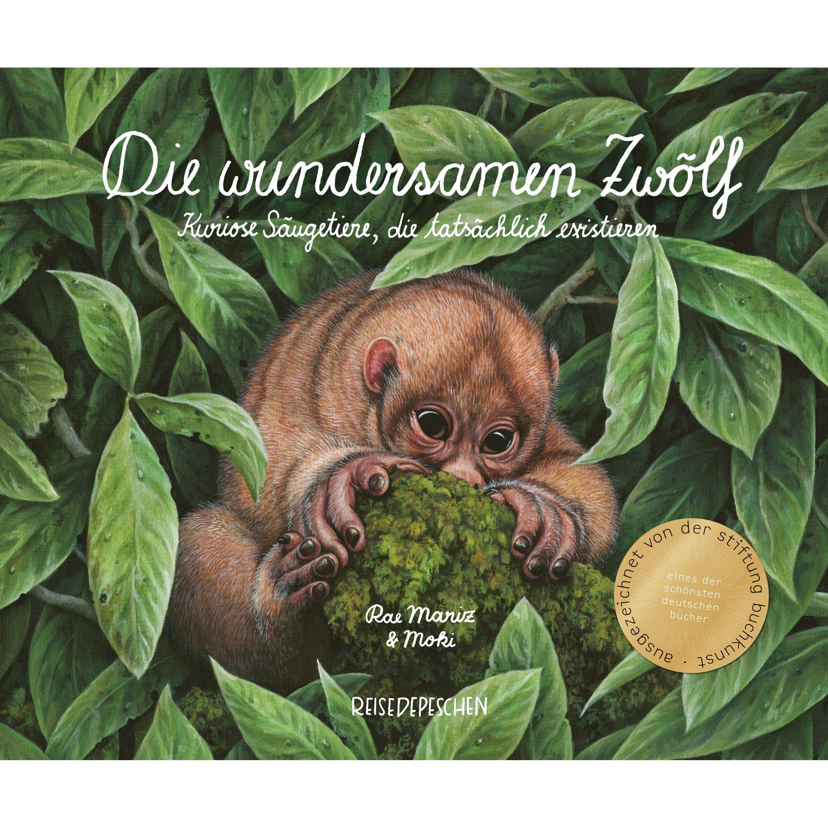 Die wundersamen Zwölf - Kuriose Säugetiere, die tatsächlich existieren, Kinderbücher von Rae Mariz, Moki, Cindy Ruch