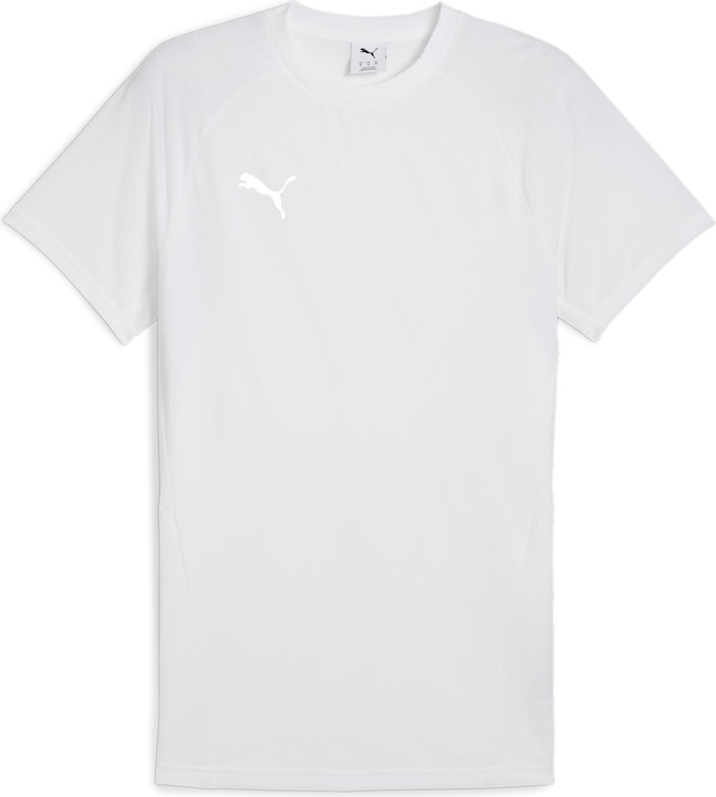 Actual product image Puma teamEVOSTRIPE Tee (S)