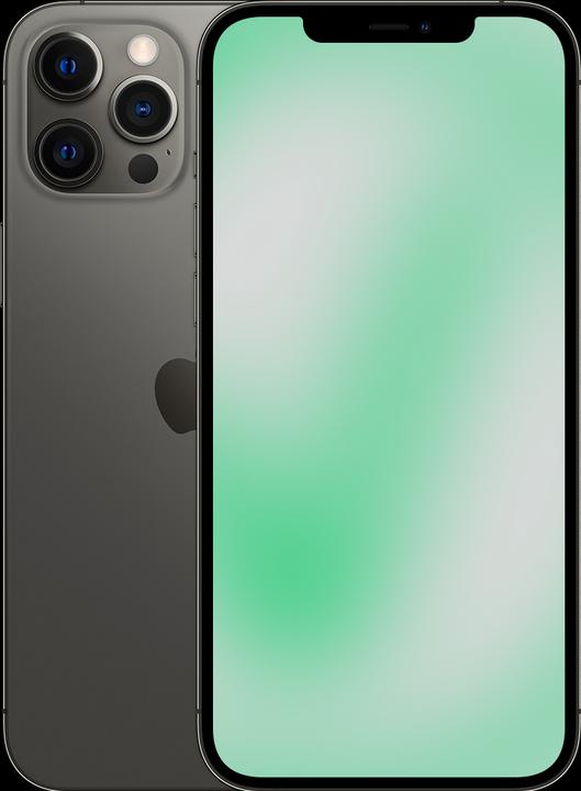 Revendo iPhone 12 Pro Max (256 GB, Graphite, 6.10", 12 Mpx, SIM + eSIM, D / Akzeptabel)