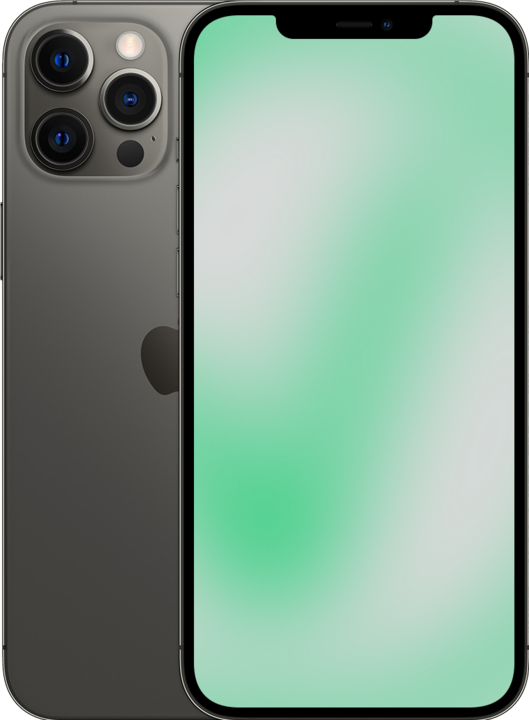 Revendo iPhone 12 Pro Max (256 GB, Graphite, 6.10", 12 Mpx, SIM + eSIM, D / Akzeptabel)
