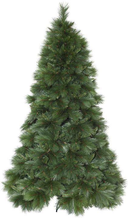 Star Trading Cembra (240 cm)