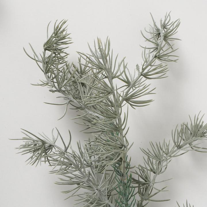 Actual product image Boltze Home Pine