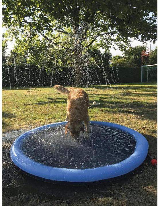 Actual product image Nobby Splash (Dog pool)