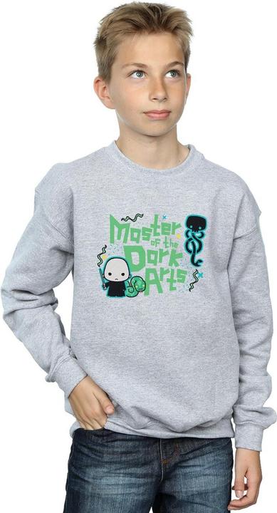 Produktbild Voldemort Dark Arts Junior Sweatshirt Jungen (116)