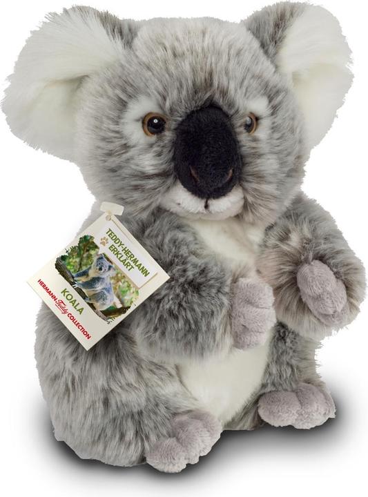 Image du produit Teddy Hermann Ours koala (21 cm)