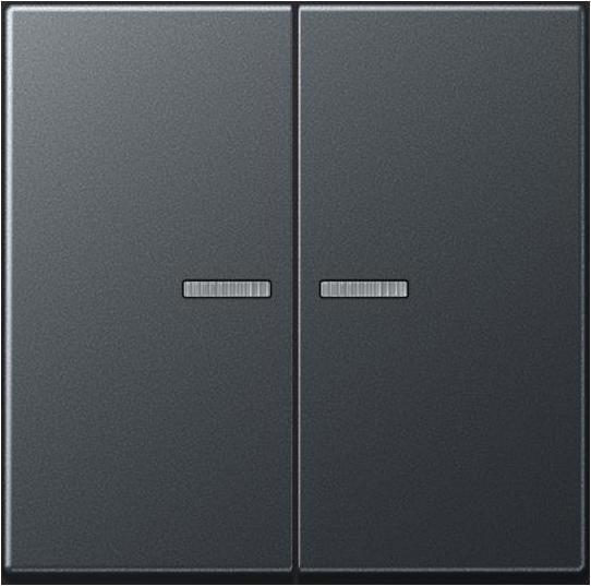 Actual product image JUNG BTA17102BFANM HOME Push button