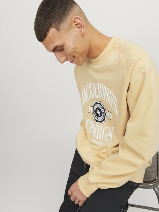 Actual product image Jack & Jones Printed sweatshirt with round neck Sweatshirt with round neck (S)