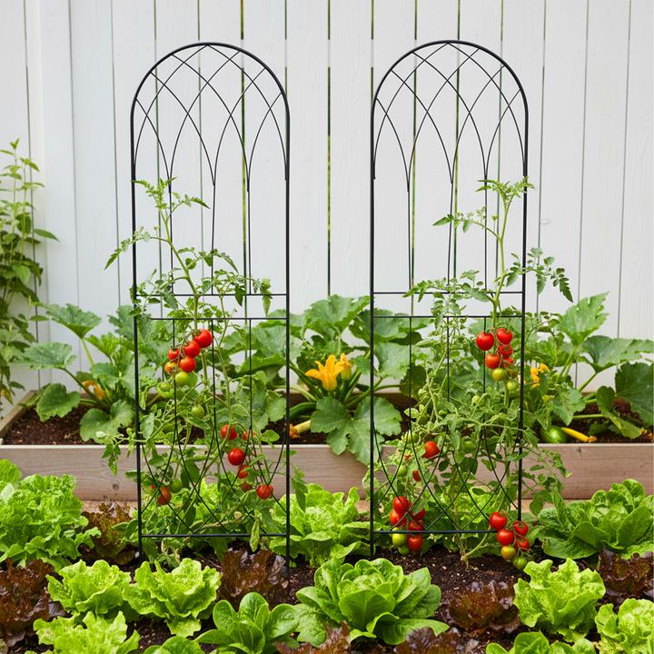 Actual product image Relaxdays 2x trellis (1 cm, 38 cm)