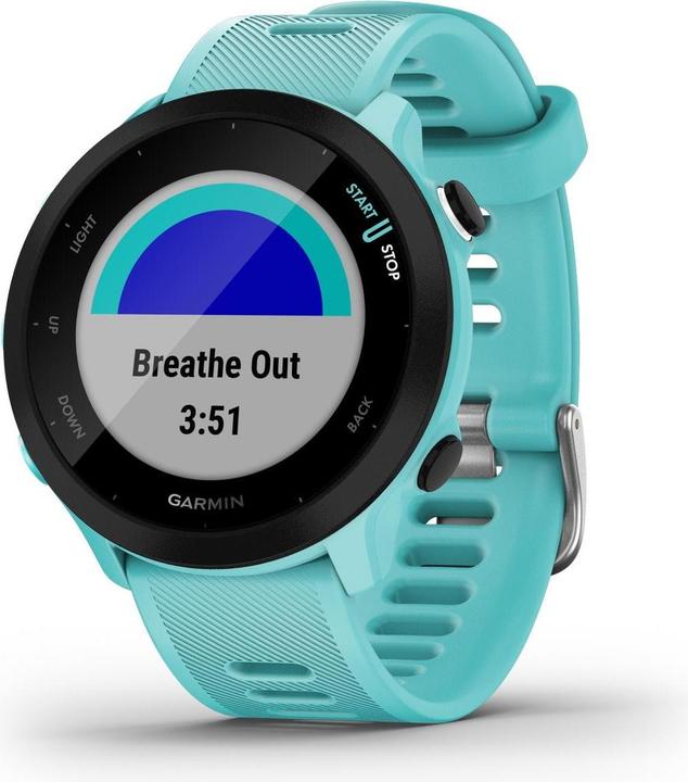 Productafbeelding Garmin Forerunner 55 (42 mm)