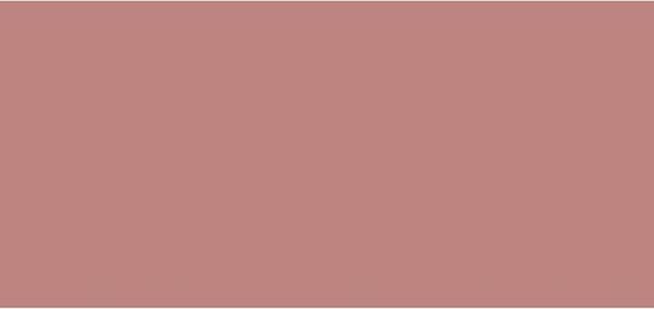 Actual product image Sisley Phyto Rouge Shine No 11 (11 Sheer Blossom)