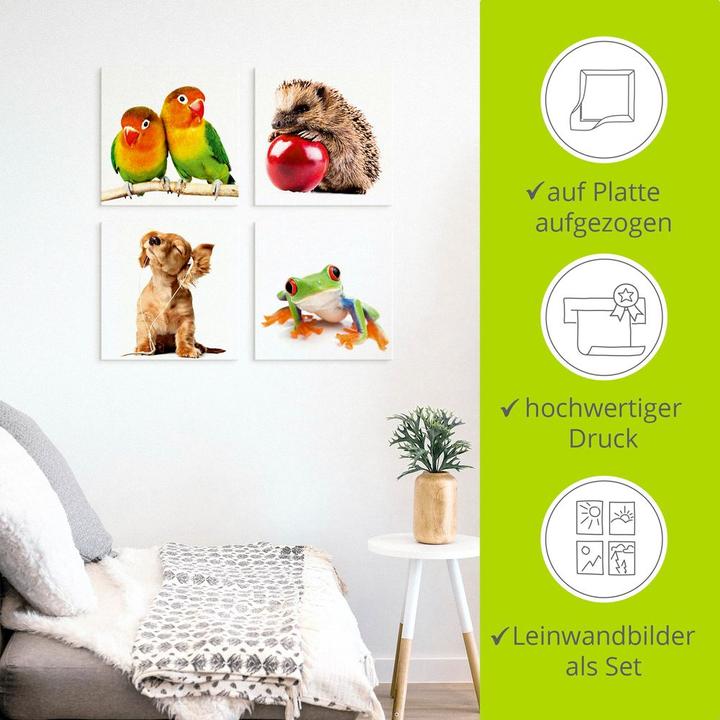 Produktbild Artland Grauköpfchen Igel Hund Frosch K2IK (20 x 20 cm)