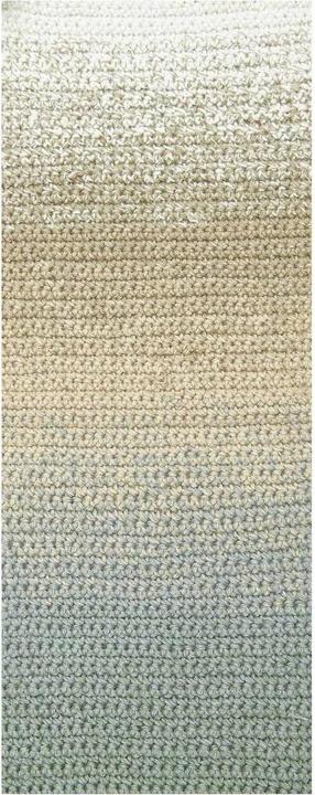 Actual product image Rico Design Wool Ricorumi Spin Spin 50 g, Patina (115 m)