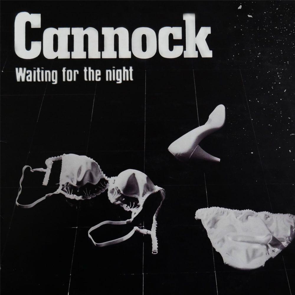 Thumbnail - Waiting For The Night, Schallplatten