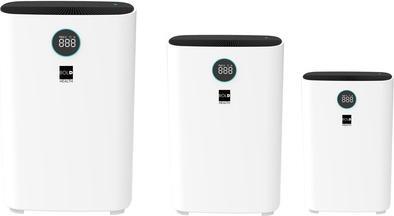 Actual product image Bold 10648 (43 m²)