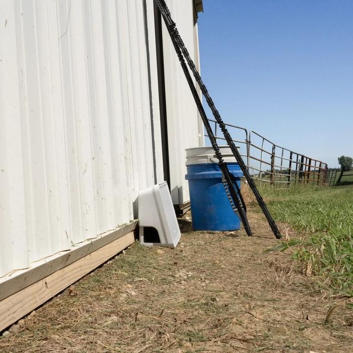 Productafbeelding GoodNature A24 Professionele Rattenval Kit