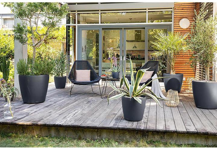 Image du produit Lechuza Classico Color 60 (60 cm)