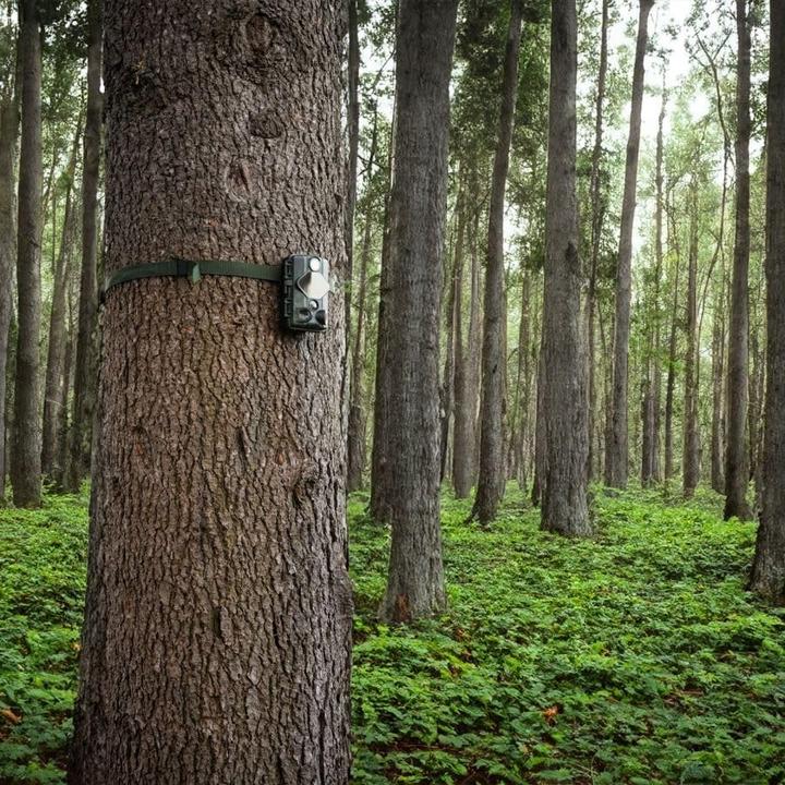 Produktbild Midland Wifi-Fotofalle mit 4K-Nachtsicht, 24 Megapixel und App-Steuerung
