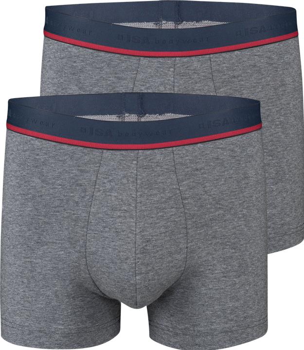 Immagine prodotto ISA Bodywear Panty Alex 2er-Pack (L, Confezione da 2)
