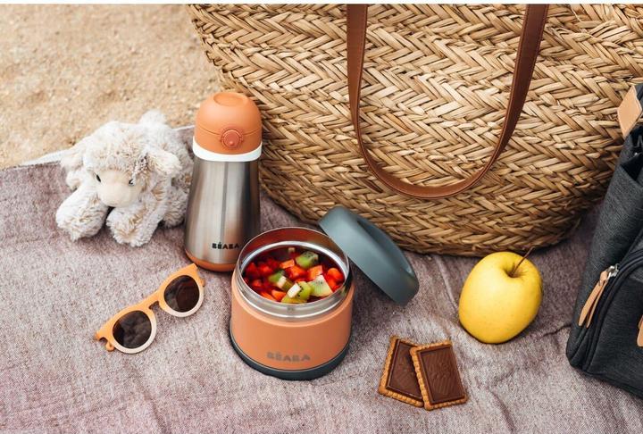 Actual product image Beaba Inox Portion Iso 500ml grey/terracotta