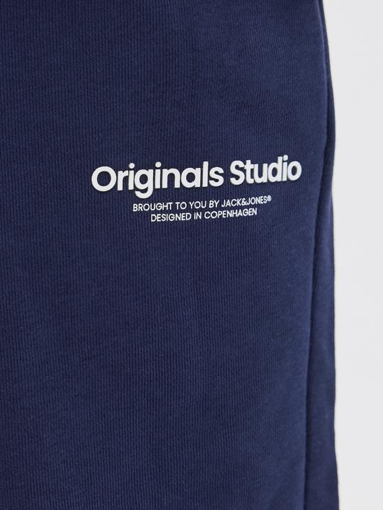 Image du produit Jack & Jones Jpstvesterbro Sweat Shorts Gms Sn Jnr (176)
