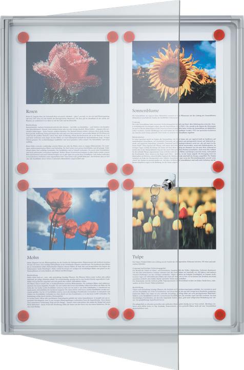 Actual product image Franken Display case x-tra!Line 4 x DIN A4 indoor magnetic and dry