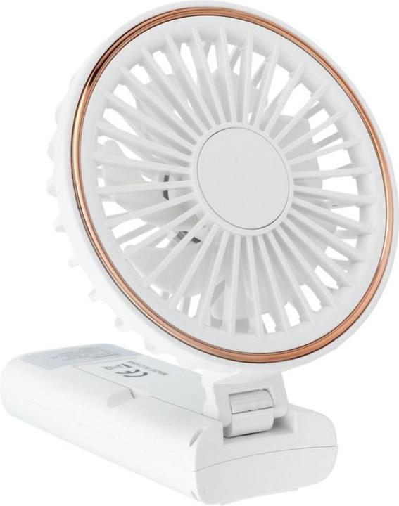 Actual product image OEM Other small household appliances Portable fan W10 white