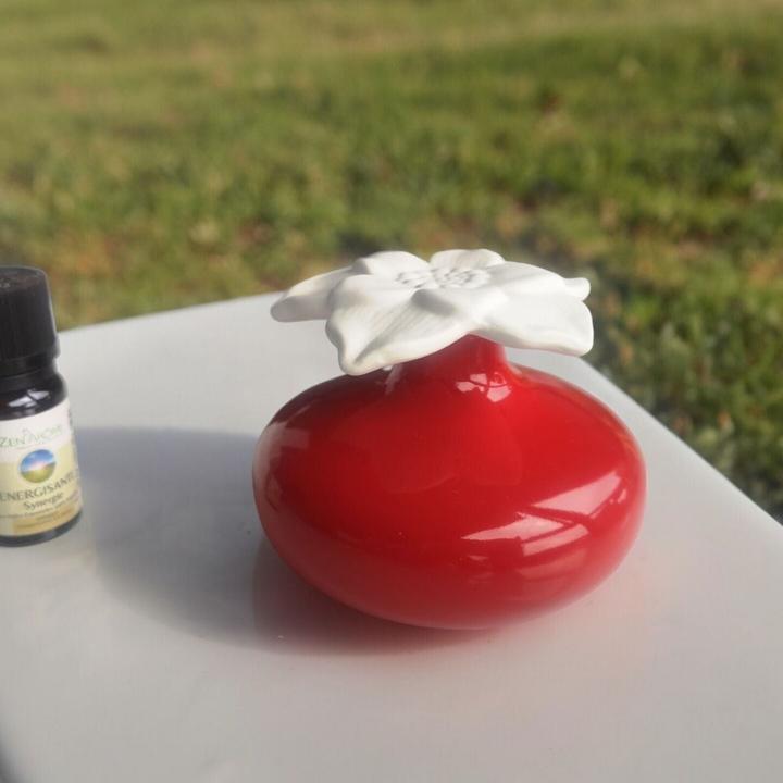 Produktbild Zen Arôme Kapillar Diffusor mit Gipsblume Diffuser für ätherische Öle oder Raumdüfte Aromatherapie N (140 ml)