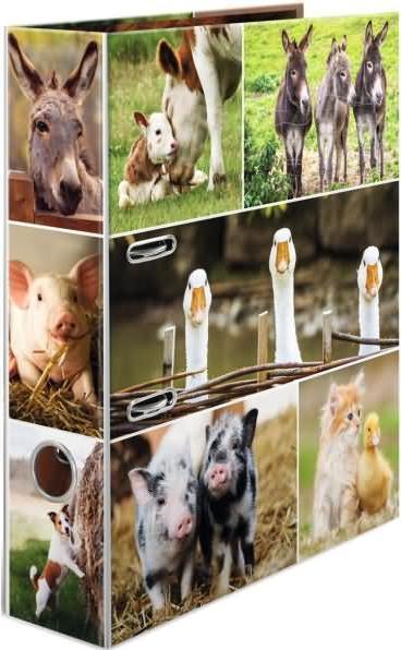 Produktbild HERMA Ordner A4 Motiv (A4, 70 mm, 1 Stk.)