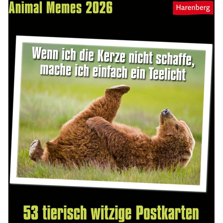 Immagine prodotto Harenberg Calendario cartoline animali 2025 - 53 cartoline animali divertenti (16 x 17,5 cm)