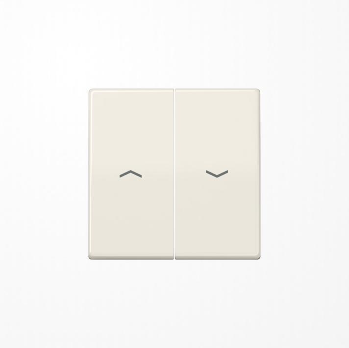 Actual product image JUNG Rocker