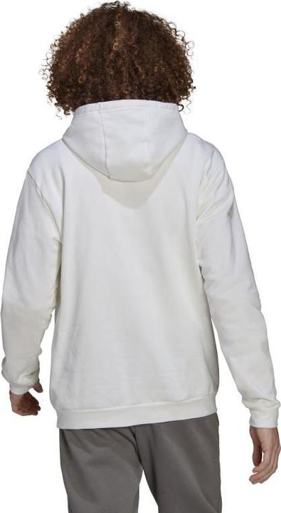Produktbild adidas Entrada 22 Kapuzenpullover Herren (M)