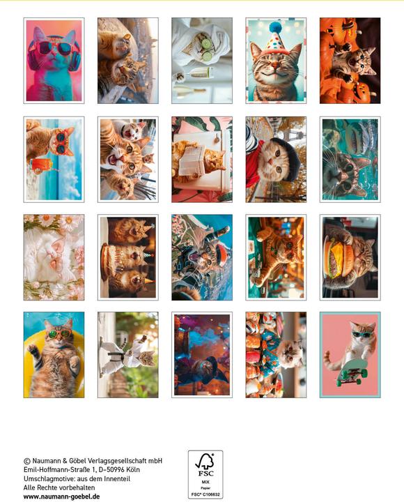 Produktbild Postkartenblock Crazy Cats (20 Stk.)