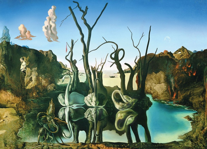 Immagine prodotto Eurographics puzzle di Salvador Dalí i cigni riflettono gli elefanti 1000 pezzi (1000 pezzi)