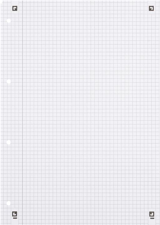 Actual product image Oxford Collegium block (A4, Checked, Soft cover)