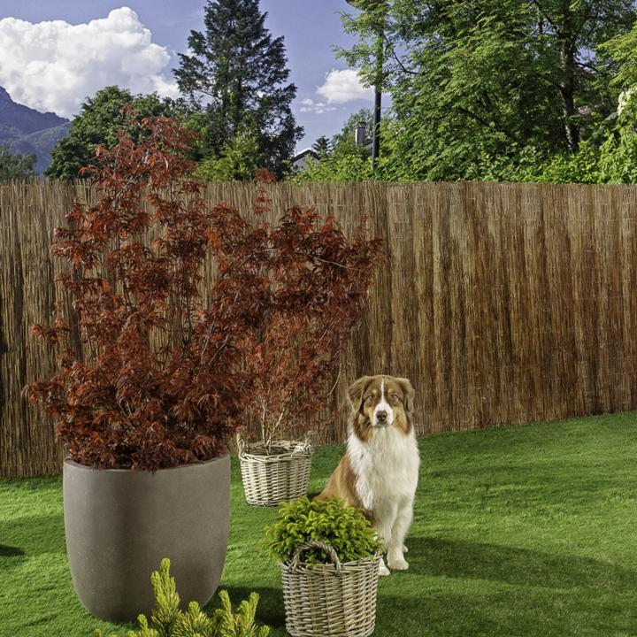 Produktbild Windhager Inaka (300 cm)