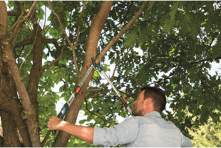 Image du produit Gardena Cisaille à branches longues TeleCut 650-900B