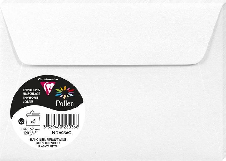 Actual product image Pollen Envelopes (120 x 165 mm, 1120 x)