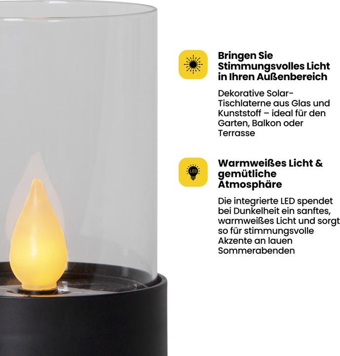 Image du produit Star Trading Puloun (1x)