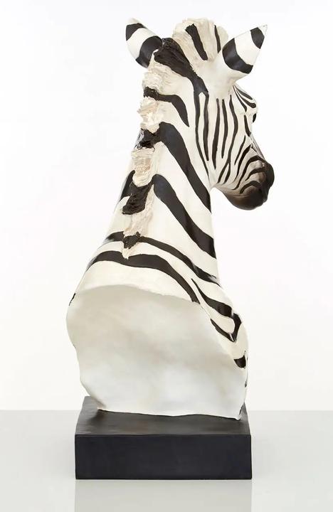 Actual product image Fifty five south Boho zebra