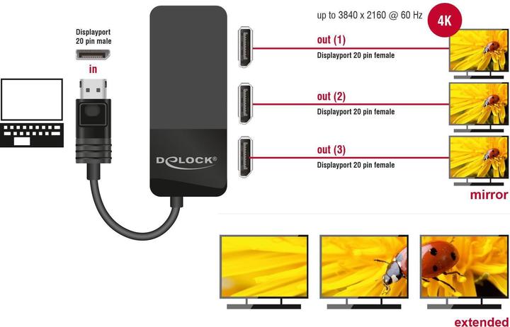 Image du produit Delock Signalsplitter (23 cm)
