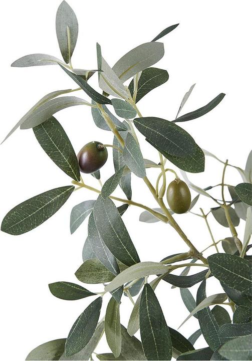 Image du produit House Nordic Olive (61 cm)