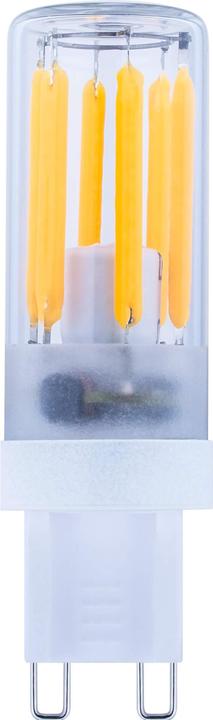 Actual product image Segula LED pin 24V clear G9 dimmable. (G9, 3 W, 260 lm, 1 x, G)