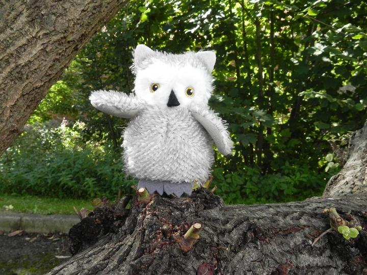 Immagine prodotto Apples to Pears Regalo in scatola - Sew me up OWL - Confezione regalo