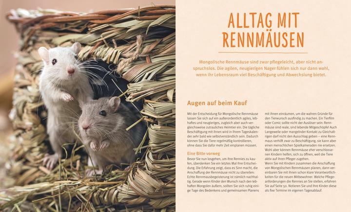 Actual product image Rennmäuse (German, Engelbert Kötter, 2015)