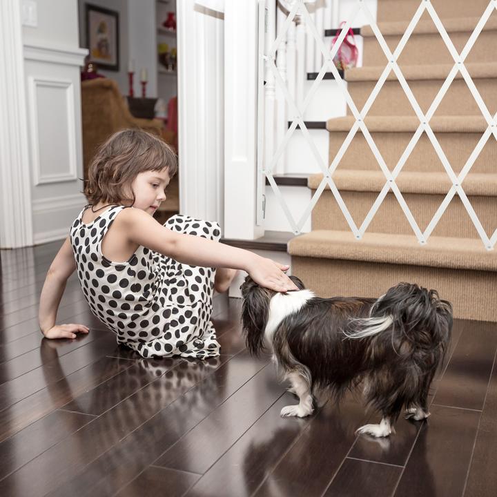 Image du produit Relaxdays Barrière pour chiens (3 cm)